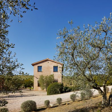 villa tuscany olive trees studio catoir