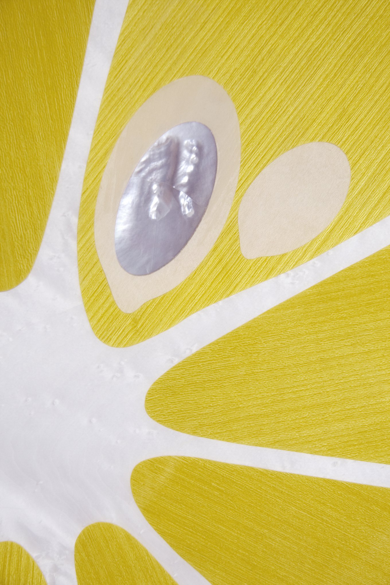 f studio catoir lemon slice table photographer michael catoir detail